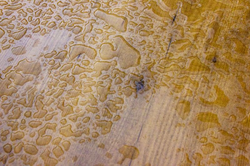 Moisture Control in Flooring